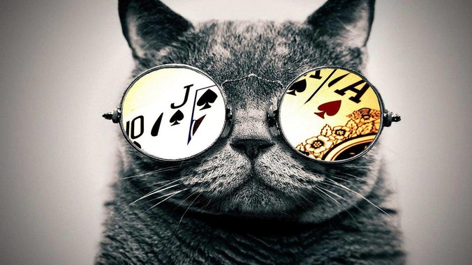 banner1